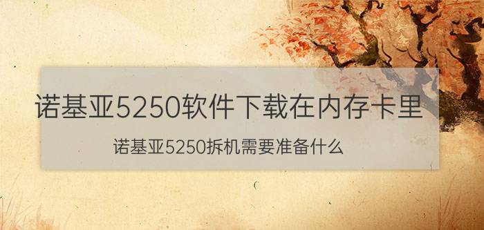 诺基亚5250软件下载在内存卡里 诺基亚5250拆机需要准备什么？